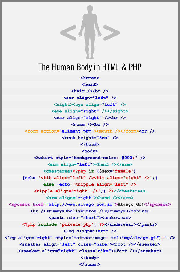 cuerpo-humano-html-php